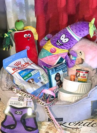 French bulldog Food and Toys