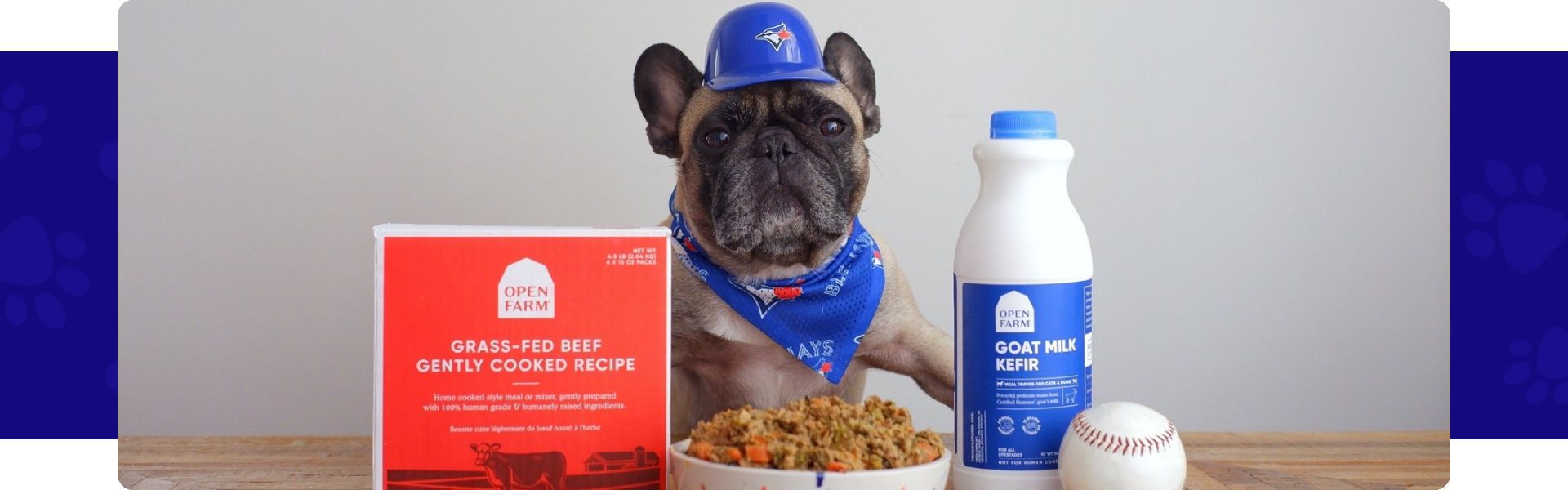 Best Frenchie Dog Food